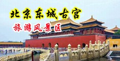 欧美人操穴中国北京-东城古宫旅游风景区
